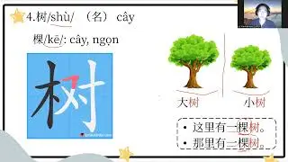 DẠY TỪ VỰNG HSK DEMO Cô Hoa