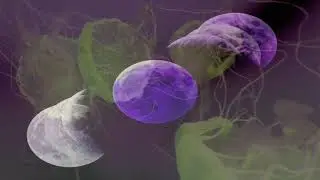 ten eleven the duo demo