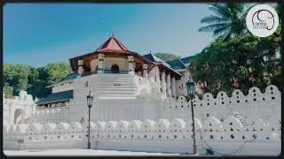 Kandy City Tour | Explore Sri Lanka&rsquo;s Cultural Capital with Lanka Safe Tours