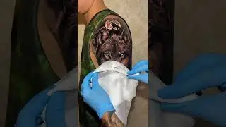 blue eye wolf tattoo😍😍😁