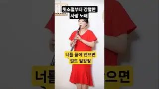 듣자마자 강렬한 노래&hearts;️#임창정    #너를품에안으면  #컬트 #kpop  #발라드 #리메이크 #clarinet #clarinetcover #클라리넷