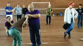 International Systema seminar 2018-09-07 1