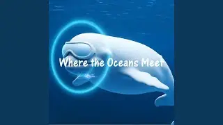 Where the Oceans Meet