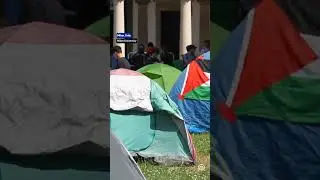 Students from Milan University in Italy set up encampment to protest Israel's ongoing war on Gaza