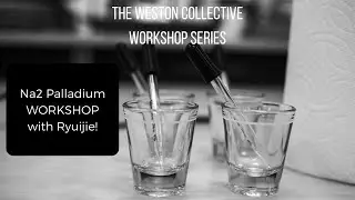 Na2 Palladium Workshop with Ryuijie