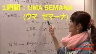すぐに使える!マルシアのポルトガル語講座⑤【空港編】