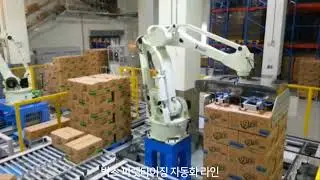 박스 파렛타이징 자동화(Box Palletizing)