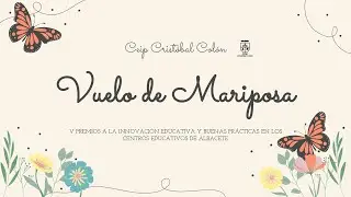 Vuelo de Mariposa 