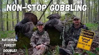 Public Land Turkey Double! |  Non-stop GOBBLING! Why 