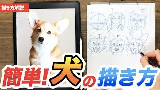 犬の描き方 》誰でも描ける！色んな犬種の描き方をレクチャー！！