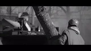 Bucks County's Top Tree Removal Company