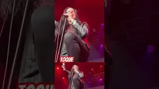 Toque: live in Winnipeg #shorts #trending #livemusic