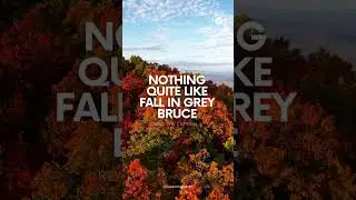 Nothing Quite Like Fall in Grey Bruce | Susan Moffat, REALTOR&reg; with Century 21 In-Studio Realty