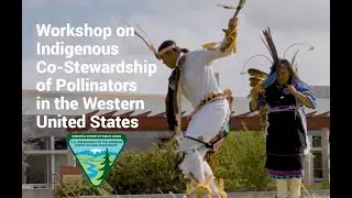 Indigenous leaders joined by partners for pollinator workshop (with audio description)