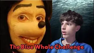 The horrors of the blue whale challenge.