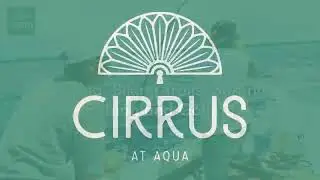 Cirrus at Aqua Newly Built Bradenton Apartments Community
