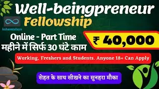 Well-beingpreneurs Fellowship | 40k Stipend | Online & Part-Time Opportunity for Working & Freshers
