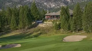TRAX: Copper Point - Point