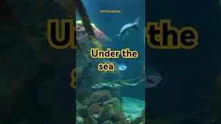 Universeum, Gothenburg #sweden #aquarium #aquariumfish #nordiccountries