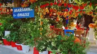 Traditional Cretan taverna with tomatoes everywhere! Taverna Marianna at Mesa Potamoi