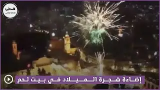 بيت لحم | إضاءة شجرة الميلاد في بيت لحم