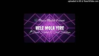 HELE MOLA YIRE - DH x FH ( Reggae Remake) 2025