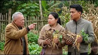 Ho&agrave;i Ca Learns Herbal Medicine &ndash; Truth Revealed, H&ugrave;ng Fears What Comes Next