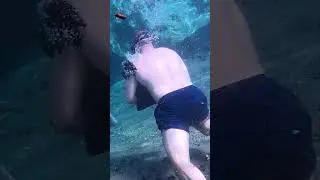 Econfina Wild