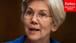'Democrats Will Not Back Down': Elizabeth Warren Defends Dems' ACA Extension Shutdown Holdout
