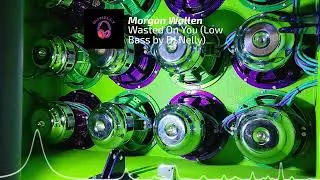 Wasted On You - Morgan Wallen (35,40hz) Low Bass by DJ Nelly