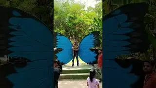 Titli Uddi🦋❤️🇮🇳#butterfly #india #delhizoologicalpark
