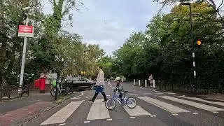 How To Negotiate A Safe Passage On A Zebra Crossing