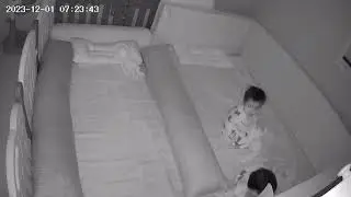 아기들은 일어나서 뭐할까?