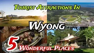 Top 5 Best Tourist Places to Visit in Wyong 😍 | Australia 🇦🇺 | New South Wales