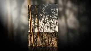 風潮音樂 - 竹舞ㄧ搖風