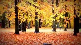 Best Fall Colours Gatineau QC