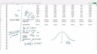 Type I and Type II Error Chat