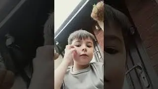 REAL OR FAKE?
