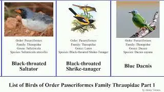 List of Birds of Order Passeriformes Family Thraupidae Part 1 tanager finch seedeater mountain