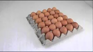 Eggstamp 