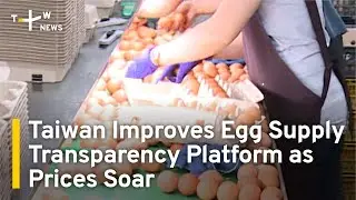 Taiwan Improves Egg Supply Chain Transparency Platform as Prices Soar | TaiwanPlus News
