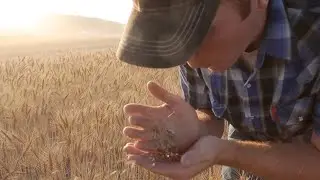 Central Milling: Farmer &raquo; Miller &raquo; Baker