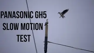 Panasonic GH5 Slow Motion Test (HD 180 FPS) - Dion Huiskes Films
