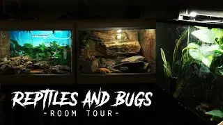 REPTILE & BUG ROOM TOUR!