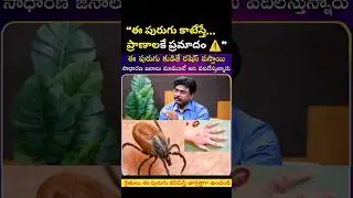ఈ పురుగు కాటు ప్రాణాలకే ప్రమాదం! ⚠️ | ఒళ్లంతా రాష్ వస్తే వెంటనే ఇలా చేయండి | Tick Bite Danger Telugu