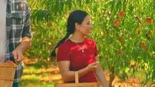Insurance You Can Feel Good About - Protecting Our Peach Farm Markets
