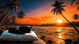 Let Peace Flow: Cat Sleeps by Riverbank + Gentle Soundscape & Meditation