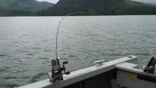 Kokanee Takedowns - Kokanee-Kid Rod
