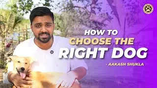 Planning to get a dog? Watch this video first! // Dog Mantra by Aakash Shukla #dogpsychology