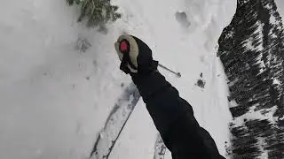 SNOWBIRD UTAH    4K